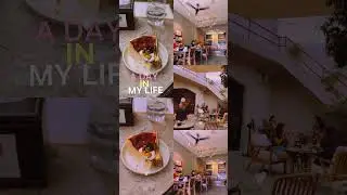 Tried Cheesecake in Pokhara's Cafe Camellia 🍰🇳🇵