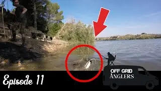 So many Wels Catfish. River Ebro Fishing adventure 2022.