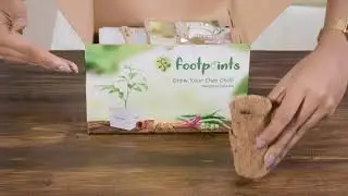 FootPrints - All-in-One Convenient DIY Home Gardening Kits