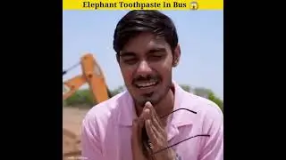 Elephant Toothpaste In Bus 😱 | Experiment BY @Crazy XYZ#shorts#shortvideo#youtubeshortRD facts