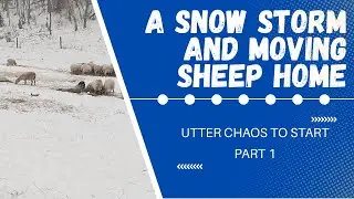 Absolute Chaos & Snow Storm Prep - Part 1
