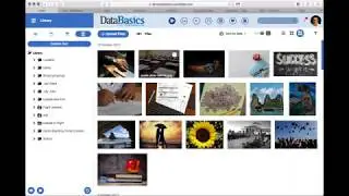 Features and Functionality of Canto for New and Existing Users