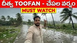 Ditwa Toofan - Fish Rain in Andhra Pradesh
