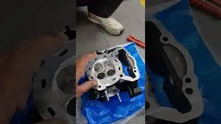Royal Enfield Himalayan 450 engine head noise
