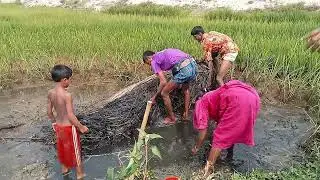মাছ ধরার অসাধারণ পদ্ধতি 