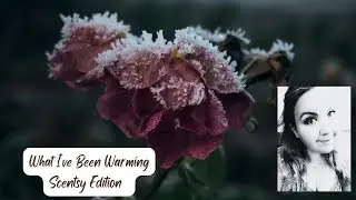 Что я ароматизирую: версия Scentsy