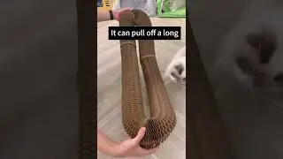 Magic Organ Cat Scratching Board