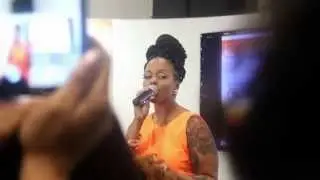 VLOG | 2014 World Natural Hair Show, Meeting Fellow YouTubers, and Chrisette Michele!