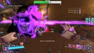 Paladins