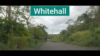 Whitehall, St Mary, Jamaica