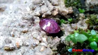 Ceylon Natural Unheated Purple Sapphire - purple sapphire is known as stone of awakening