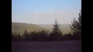 MOV07028