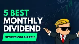 5 Best Monthly Dividend Stocks For March (2024)