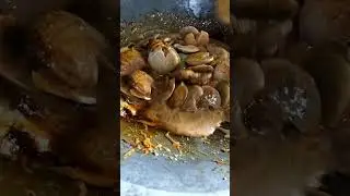 Masak Jengkol Rendang muantp poll 