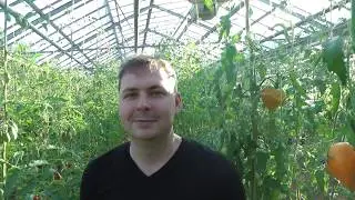 Synth, founder at Skycoin  | BLOCKCHANCE video message;)