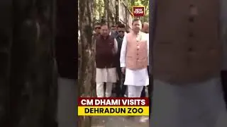 CM Dhami Visits Dehradun Zoo | #shorts #cmdhami #pushkarsinghdhami #uttarakhandnews #dehradunnews