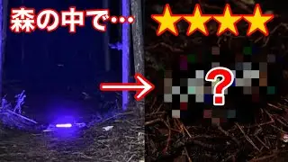 【狙えレア冬夜蛾】春の針葉樹林でブラックライトを放置すると…？