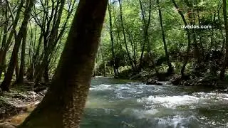 SENDERO DE LA RIBERA DEL HUEZNAR