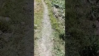 🥰🥰🤣🥰🥰🥰 #techkishan #viralvideo #technicalkishan #hindi #kishan #nature