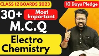 Class 12 Chemistry | Most Important MCQ of Electrochemistry | NCERT Exemplar Chemistry