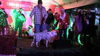 Кот побеждает в конкурсе костюмов для домашних животных &laquo;West Seattle Junction Hometown Holidays&raquo;