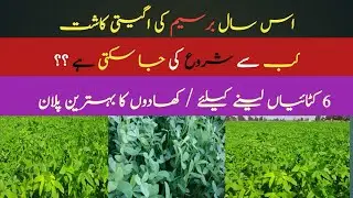 Feasibility of early sowing of Berseem || Fertilizer plan || Berseem | Shahzad Munir 