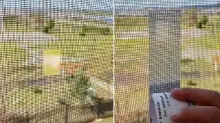 How to Repair Window Screen 2021