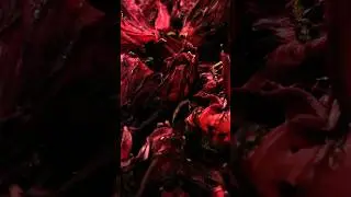 6 Powerful Benefits of Roselle (Hibiscus Sabdariffa)