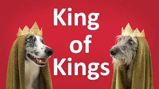 Longest Dividend Payer Revealed!