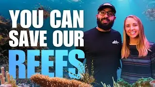 You Should SPEAR Lionfish to Protect Our Reefs (Ft. REEF&rsquo;s Madalyn 