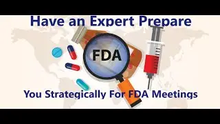 Master FDA Meetings with Snow Consulting
