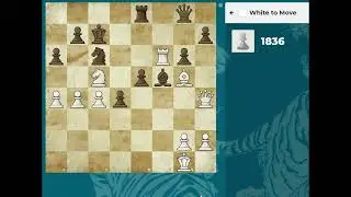 Lovely chess rush puzzles