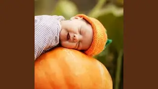Comfort Lullaby Night Sounds