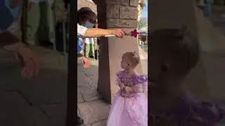 #disneyland #pixiedust