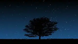 3 Hours of Gentle Night Wind Through Trees 🌿 | Calm Ambience for Sleep, Relaxation & Focus