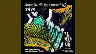 Something Between Us