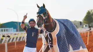 Especial: A ÚLTIMA CORRIDA DO MELHOR CAVALO DO BRASIL!