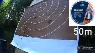 H&N Spitzkugel 0.56g.          4.5mm/177cal. Pellet test.