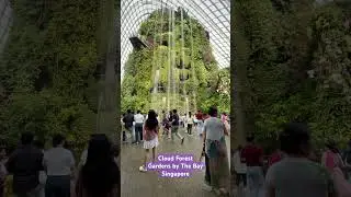 Cloud Forest | Gardens by The Bay | Singapore
