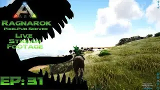 Pixelpub 31 LiveStream The Return