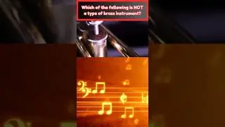Quick Fire Music Facts 🎵🎸 | 6-Second Trivia Blitz! #quiz #trivia #shorts #musicfacts #music
