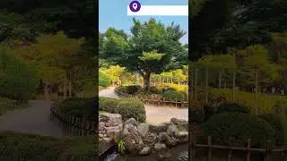 Kanazawa, Japan｜ Kenroku-en, one of Japan's most beautiful landscape gardens #shorts #shortsvideo