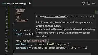 Project setup - GoLang