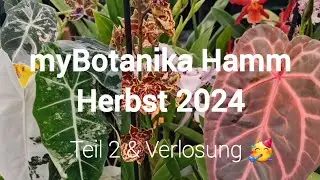 myBotanika Hamm Herbst 2024 🌱 | Teil 2 (mit Nebenraum) & Verlosung 🥳