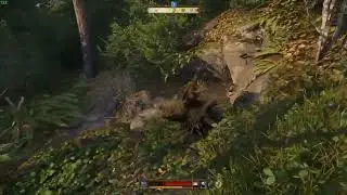 How To Find Voivodes Letter Of Safe Conduct In Kingdom Come: Deliverance II (Easy Guide)