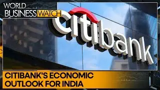 Citibank predicts relief: Cooking gas price cut to tackle inflation | World Business Watch