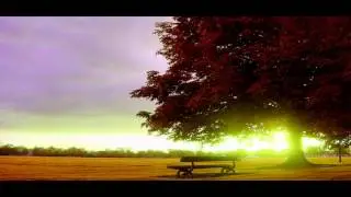 Magic Trance Session Vol (1)