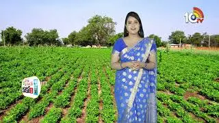 Matti Manishi Full Episode | మట్టి మనిషి | Agriculture Tips | 12-11-2025 | @10TVAgri