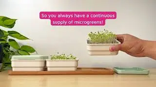How to set up your MICROPOD Continuous Grow Kit