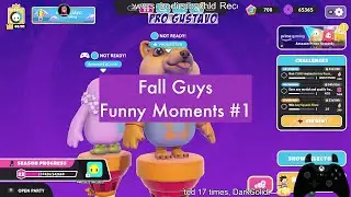 Fall Guys FUNNY MOMENTS #1